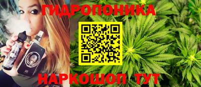 СК Новокубанск