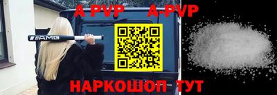 СК Новокубанск