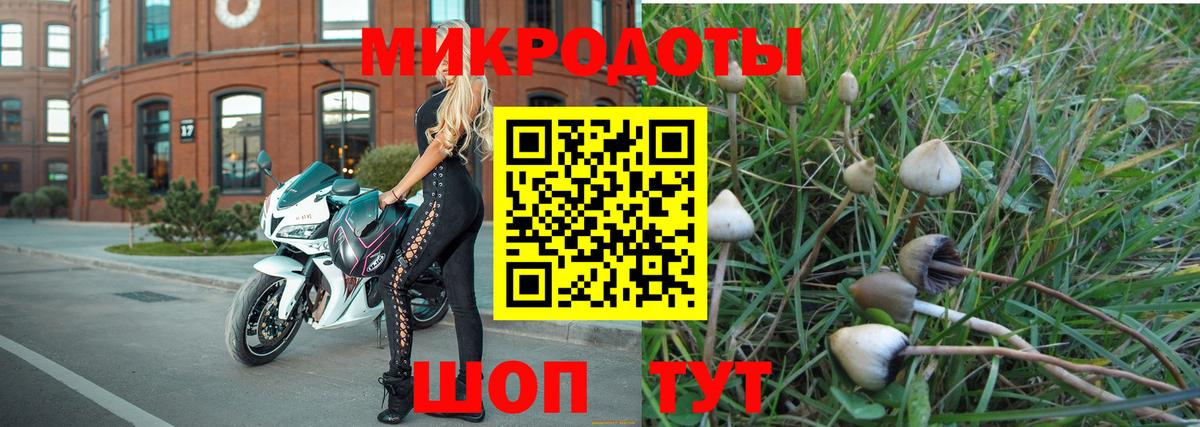 Тула  Псилоцибиновые грибы мицелий  Псилоцибиновые грибы прущие грибы  Вход с VPN 